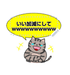 トリオ猫のメッセージスタンプ ハチワレ（個別スタンプ：15）