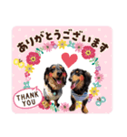 アイルくん,シエルくん by晩ママ（個別スタンプ：2）
