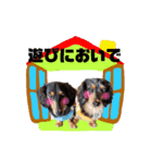 アイルくん,シエルくん by晩ママ（個別スタンプ：3）
