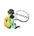 アイルくん,シエルくん by晩ママ（個別スタンプ：4）