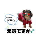 アイルくん,シエルくん by晩ママ（個別スタンプ：5）