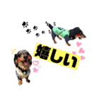 アイルくん,シエルくん by晩ママ（個別スタンプ：7）