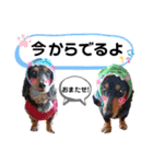 アイルくん,シエルくん by晩ママ（個別スタンプ：11）