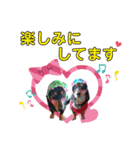 アイルくん,シエルくん by晩ママ（個別スタンプ：14）