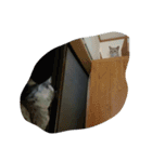 I am sticker,（個別スタンプ：8）