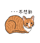 さけ ねこ（個別スタンプ：2）