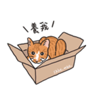 さけ ねこ（個別スタンプ：4）