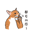 さけ ねこ（個別スタンプ：6）