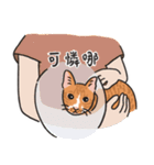 さけ ねこ（個別スタンプ：14）