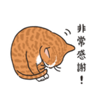 さけ ねこ（個別スタンプ：15）