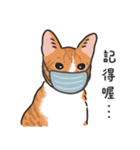 さけ ねこ（個別スタンプ：25）