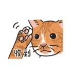 さけ ねこ（個別スタンプ：32）