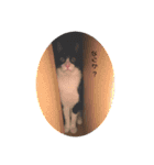 はるちゃんとキーちゃん（個別スタンプ：14）