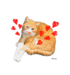むぎといっしょ(ねこ)（個別スタンプ：1）