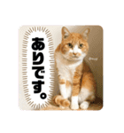 むぎといっしょ(ねこ)（個別スタンプ：4）