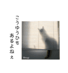 むぎといっしょ(ねこ)（個別スタンプ：5）
