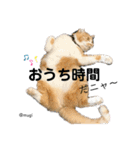 むぎといっしょ(ねこ)（個別スタンプ：6）
