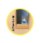 むぎといっしょ(ねこ)（個別スタンプ：8）