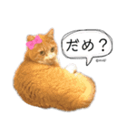 むぎといっしょ(ねこ)（個別スタンプ：10）
