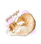 むぎといっしょ(ねこ)（個別スタンプ：24）