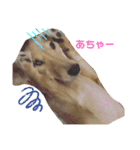 にぃなコレクション（個別スタンプ：1）