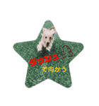 にぃなコレクション（個別スタンプ：3）