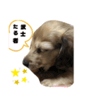 にぃなコレクション（個別スタンプ：16）