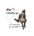 ゆかいな仲間たち！ in dog（個別スタンプ：1）