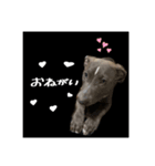 ゆかいな仲間たち！ in dog（個別スタンプ：2）