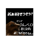ゆかいな仲間たち！ in dog（個別スタンプ：4）