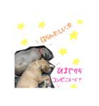 ゆかいな仲間たち！ in dog（個別スタンプ：5）