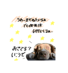 ゆかいな仲間たち！ in dog（個別スタンプ：7）