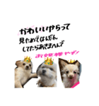 ゆかいな仲間たち！ in dog（個別スタンプ：8）