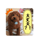 ぷぅスタンプ第2弾（個別スタンプ：5）
