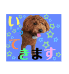 ぷぅスタンプ第2弾（個別スタンプ：6）