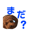 ぷぅスタンプ第2弾（個別スタンプ：11）