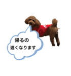 ぷぅスタンプ第2弾（個別スタンプ：23）