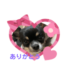 だいず（豆じゃないよ☺︎）（個別スタンプ：1）