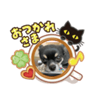 だいず（豆じゃないよ☺︎）（個別スタンプ：2）