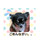 だいず（豆じゃないよ☺︎）（個別スタンプ：3）