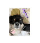 だいず（豆じゃないよ☺︎）（個別スタンプ：5）