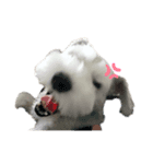 おんちゃん はむちゃん（個別スタンプ：2）