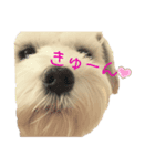おんちゃん はむちゃん（個別スタンプ：3）