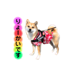 柴犬こむぎNo.4（個別スタンプ：2）