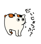 さんねこ日記 あまえんぼ（個別スタンプ：10）