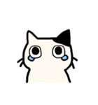 さんねこ日記 あまえんぼ（個別スタンプ：13）