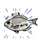 よく釣る魚part1（個別スタンプ：6）