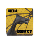 ちぇい組（個別スタンプ：2）