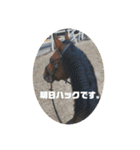 ちぇい組（個別スタンプ：3）