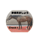 ちぇい組（個別スタンプ：8）